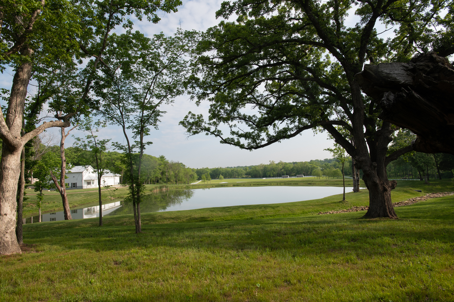 Oak and pond with building in background at Hidden Timber Farm horse pasture boarding